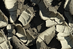 Getrocknete_PfÃ¼tze_La_Palma 
